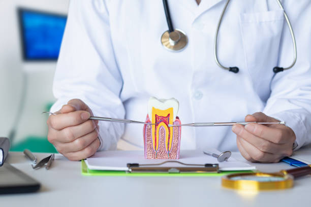 Best Emergency Root Canal Therapy in Wickliffe, OH